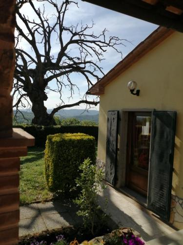  Casa Gaia, Ferienwohnung in Poggio Murella