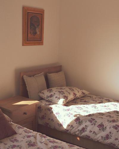 Amanet House Zasavica - image 6