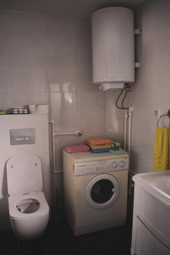 Amanet House Zasavica - image 5