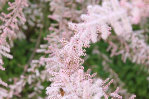 卡萨瓦坎兹阿尔盖罗酒店