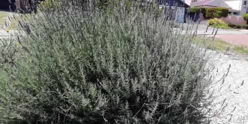 Knysna Budget Friendly Stay in Fisher Haven