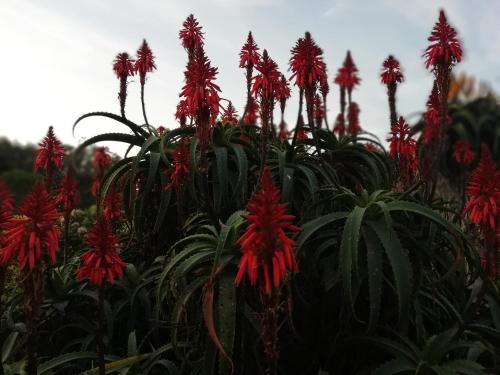 Knysna Budget Friendly Stay in Fisher Haven