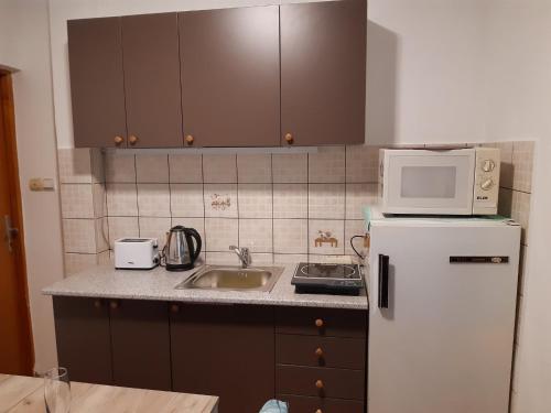 Apartman MITIĆ, Požarevac (foto 6)