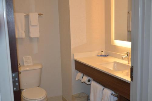 Holiday Inn Express Hotel & Suites Rochester, an IHG Hotel