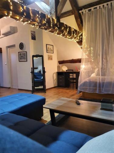 Vue splendide sur Chateau in Saumur Town Center