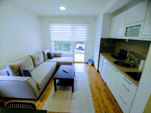 Deluxe Apartment room in MK Zlatibor