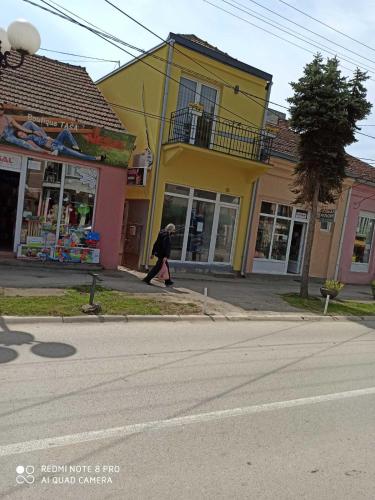 PINGO 2 - image 7