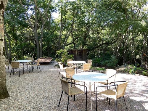 MAS DEL CA - main image