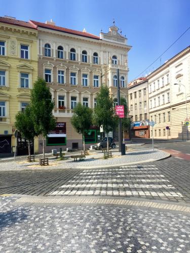 Beautiful Apartments in Prague 2