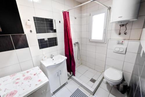 Central Monument Apartment Bojkovic - image 13