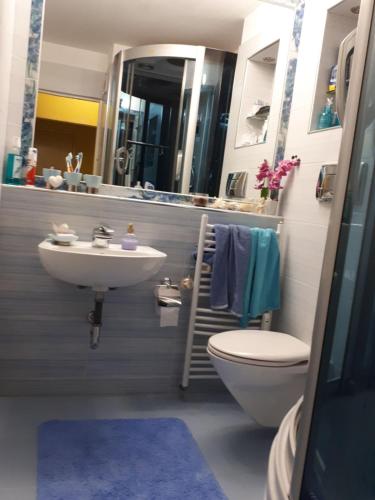 Tulips - Room for overnight travelers, close to the Airport, parking, Sofie (fotografie 6)