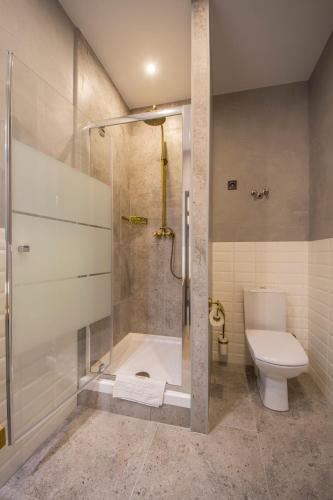 Central Apartments Maidan Area - image 3