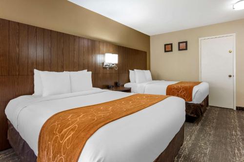 Standard Double Suite image 1
