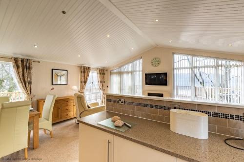 Waterbird in Ecclerigg