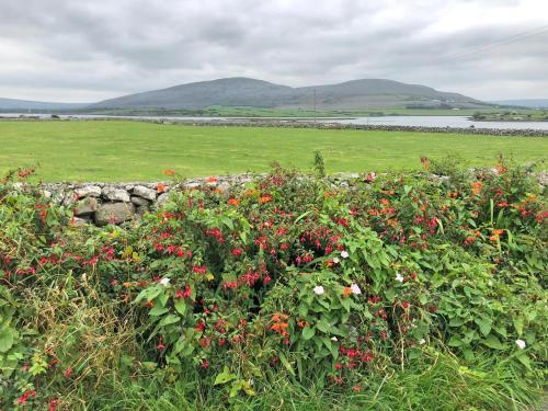 Kinvara Suites 2 - image 2