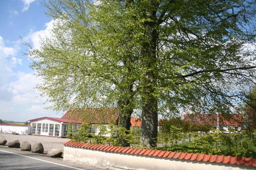 Hoby Gård - image 10