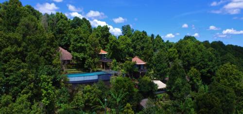 View, Swar Bali Lodge in Munduk