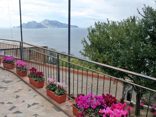  Apartment Don Luigino - Capri view by Interhome in Massa Lubrense