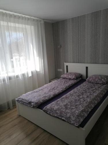 Klaipeda Town Center Apartment