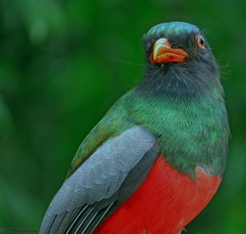 La Selva Biological Station