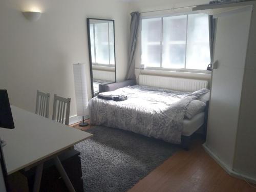 Large modern GF 1-bed apartment Sleeps 2, Londýn (fotografie 7)
