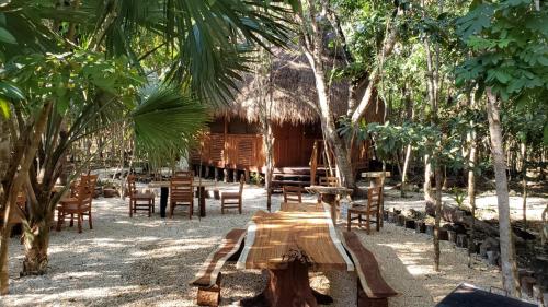 Aldea Maya-Ha Cabañas con cenotes