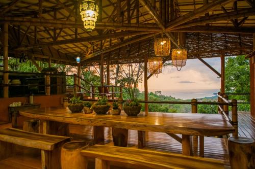 View, Selva Armonia Immersive Jungle Resort in Quepos
