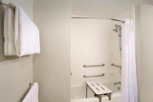 홀리데이 인 익스프레스 & 스위트 뉴 브라운펠스 바이 IHG - 화장실