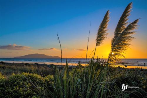 Accommodation in Te Horo