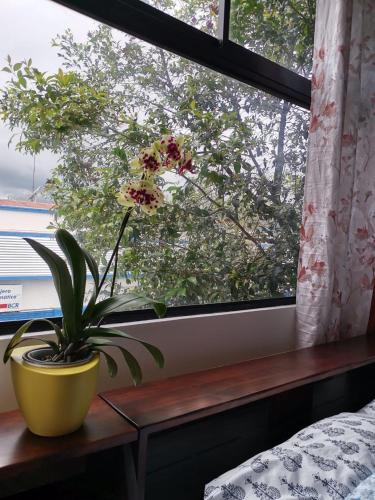 935 Lodge San Jose in San Jose