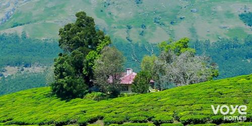 AH HILLTOP Tea Plantation Bungalow- Munnar