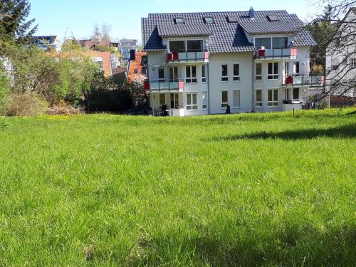 Homal, Konstancja (zdjęcie 3)