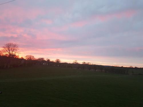 Brendan's Apartment On Same Grounds As Family Home Brendan's Apartment On Same Grounds As Family Home