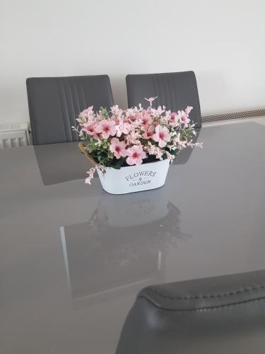 Brendan's Apartment On Same Grounds As Family Home Brendan's Apartment On Same Grounds As Family Home