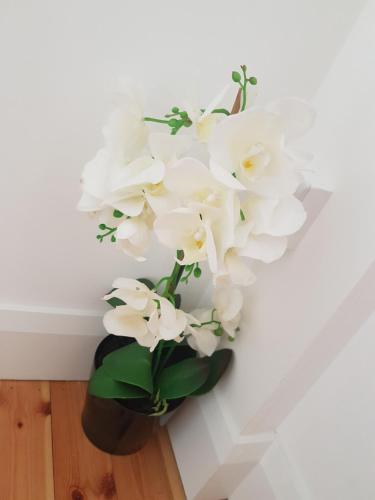 Brendan's Apartment On Same Grounds As Family Home Brendan's Apartment On Same Grounds As Family Home