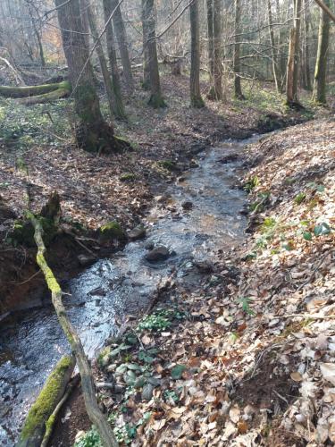 Appartement idéal près de Durbuy / Ideaal appartement nabij Durbuy / Ideal apartment near Durbuy