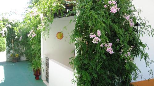 Palm Villa Estudios - image 2
