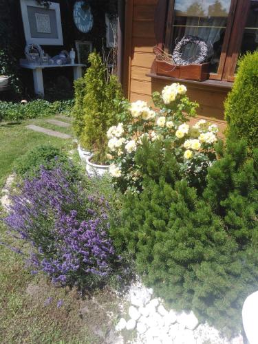 Chata Magnata Chata Magnata