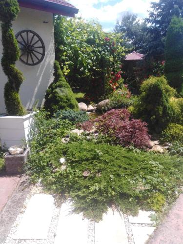 Chata Magnata Chata Magnata