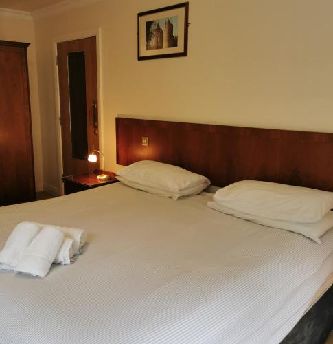 Three Rivers Hotel - image 13