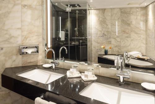 Maritim Hotel Ulm - image 11