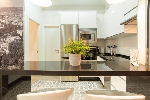 Homemálaga Constitución - image 6