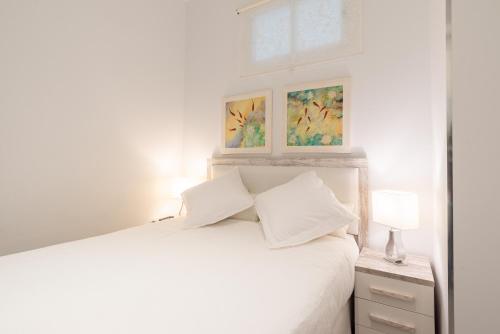 Homemálaga Constitución - image 5