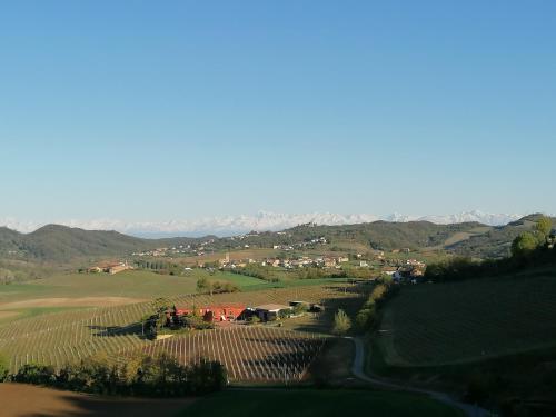  La Bella Vite in Moncalvo