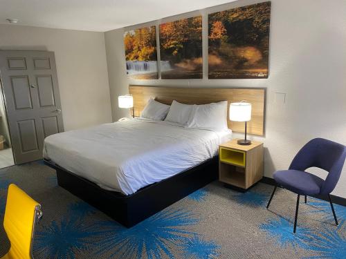 King Room with Roll-in Shower - Mobility Accessible/Non-Smoking