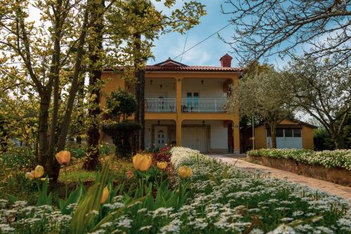  Apartment Villa Olga, Unterkunft in Poreč