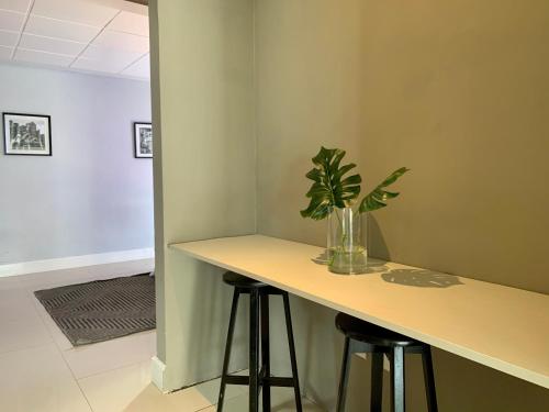 Temporada Litorânea slz Temporada Litorânea slz