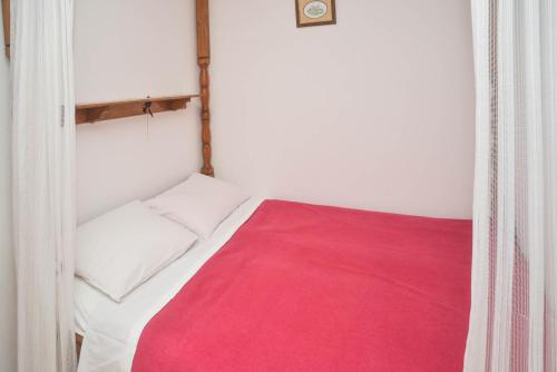 House Pineapple - image 10