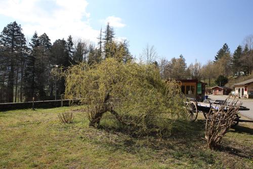 Le Veymont & Le Vertaco in Saint-Martin-en-Vercors