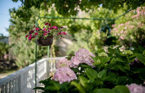 House Predrag - image 6